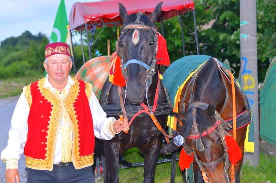 Kobila Lady, konj o kojem je napisana knjiga